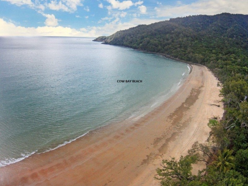 Lot 259 Silver Ash Road (Cow Bay), Daintree QLD 4873