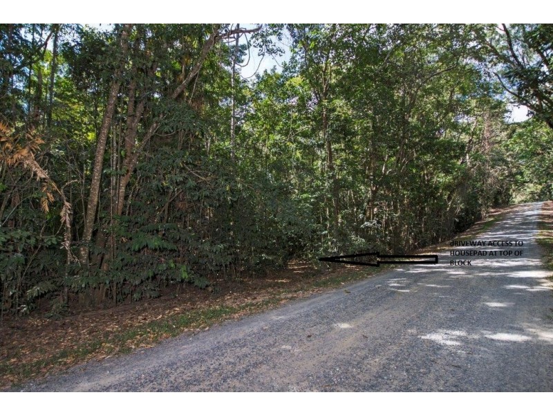 Lot 259 Silver Ash Road (Cow Bay), Daintree QLD 4873