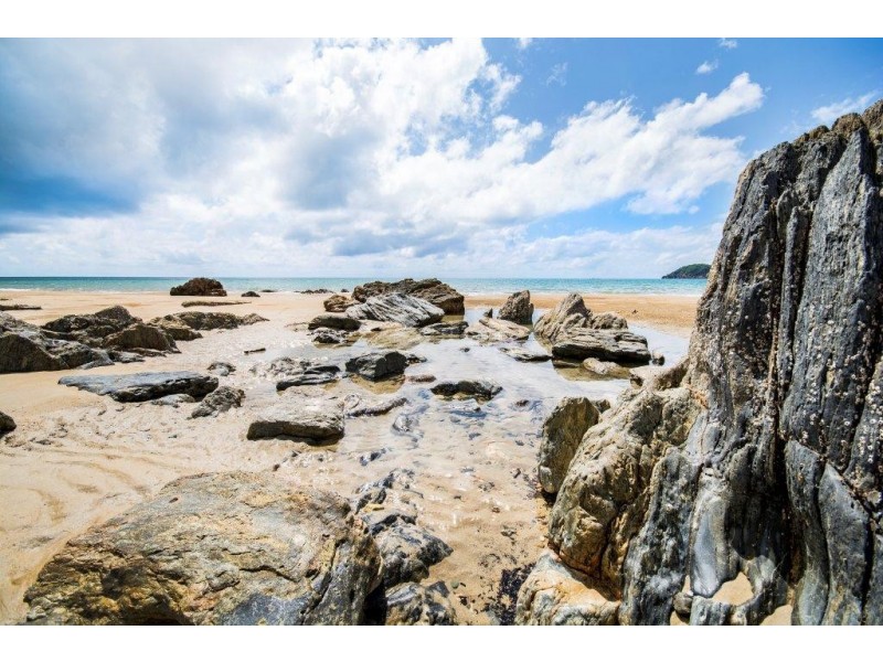 Lot 259 Silver Ash Road (Cow Bay), Daintree QLD 4873