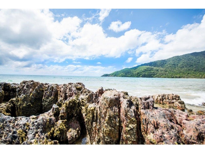 Lot 259 Silver Ash Road (Cow Bay), Daintree QLD 4873