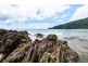 Lot 259 Silver Ash Road (Cow Bay), Daintree QLD 4873