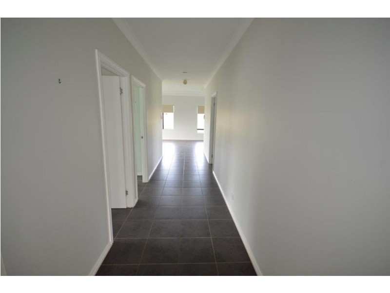 14 Dulku Close, Port Douglas QLD 4877