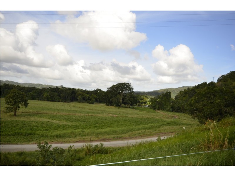 159 Upper Daintree Road (Stewart Creek Valley), Daintree QLD 4873