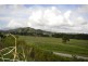 159 Upper Daintree Road (Stewart Creek Valley), Daintree QLD 4873