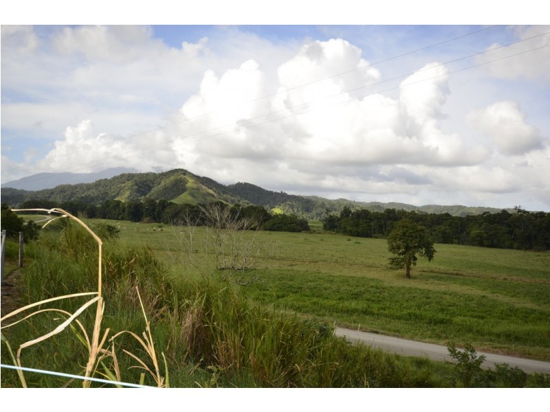 159 Upper Daintree Road (Stewart Creek Valley), Daintree QLD 4873