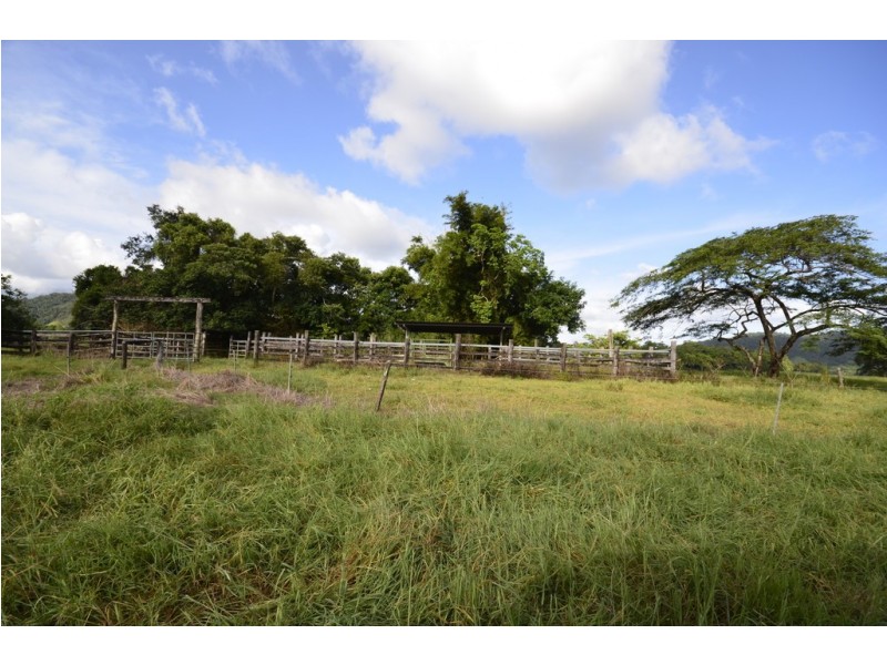 159 Upper Daintree Road (Stewart Creek Valley), Daintree QLD 4873