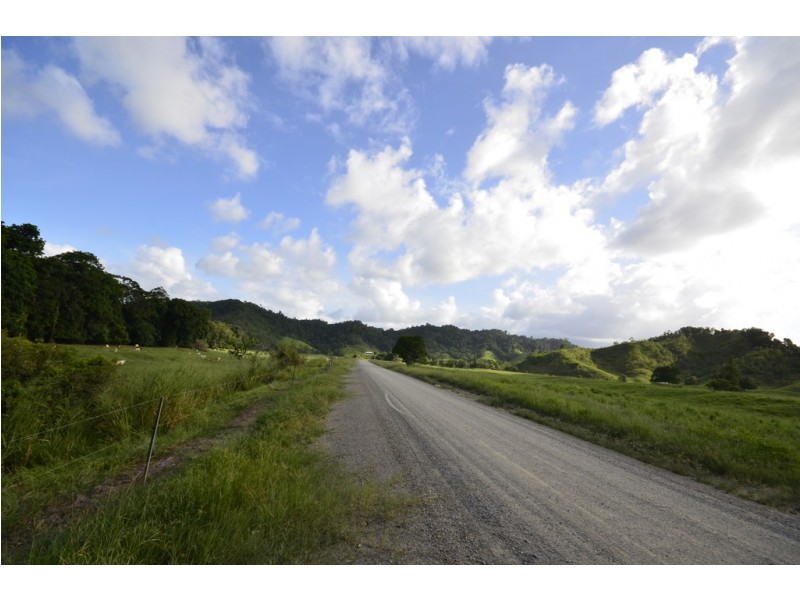 159 Upper Daintree Road (Stewart Creek Valley), Daintree QLD 4873