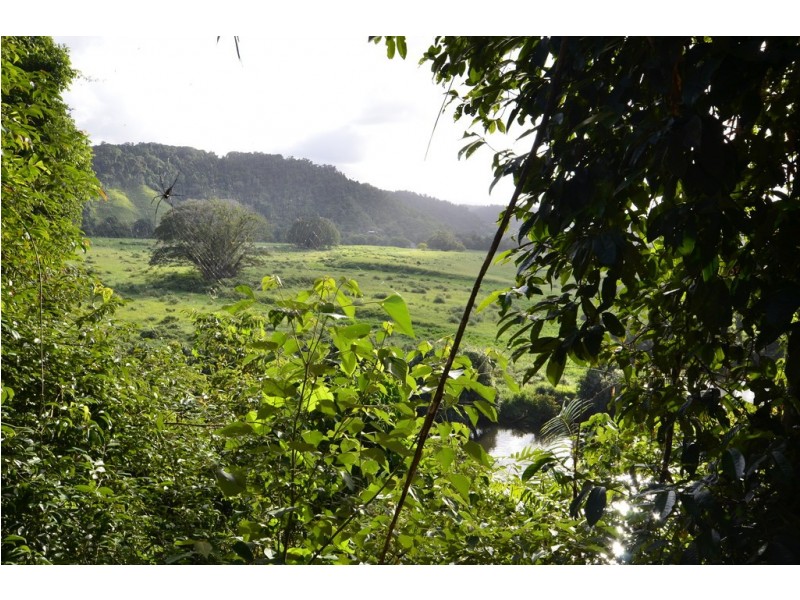 159 Upper Daintree Road (Stewart Creek Valley), Daintree QLD 4873