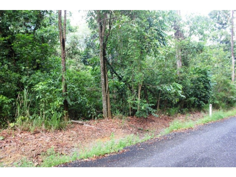 75 Forest Creek Road FOREST CREEK, Daintree QLD 4873