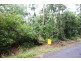 75 Forest Creek Road FOREST CREEK, Daintree QLD 4873