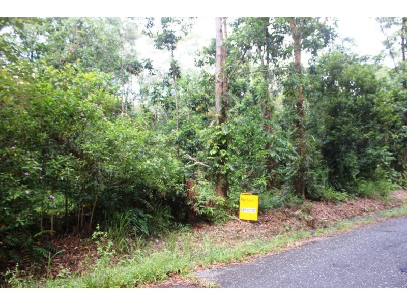 75 Forest Creek Road FOREST CREEK, Daintree QLD 4873
