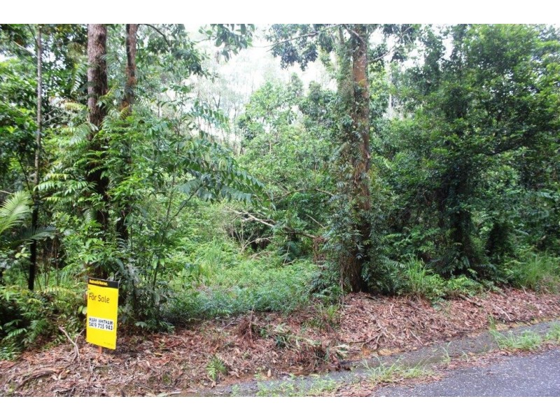 75 Forest Creek Road FOREST CREEK, Daintree QLD 4873