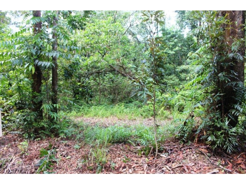 75 Forest Creek Road FOREST CREEK, Daintree QLD 4873