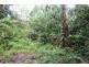 75 Forest Creek Road FOREST CREEK, Daintree QLD 4873
