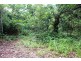 75 Forest Creek Road FOREST CREEK, Daintree QLD 4873