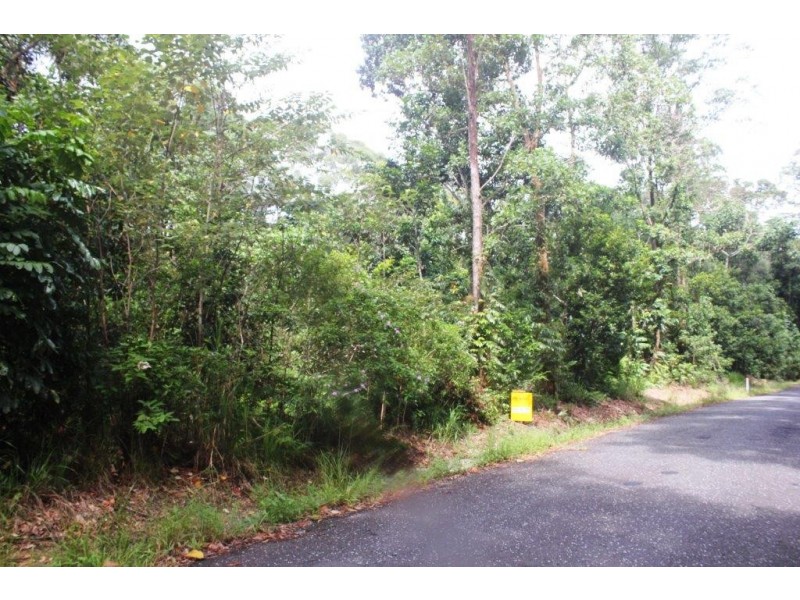 75 Forest Creek Road FOREST CREEK, Daintree QLD 4873