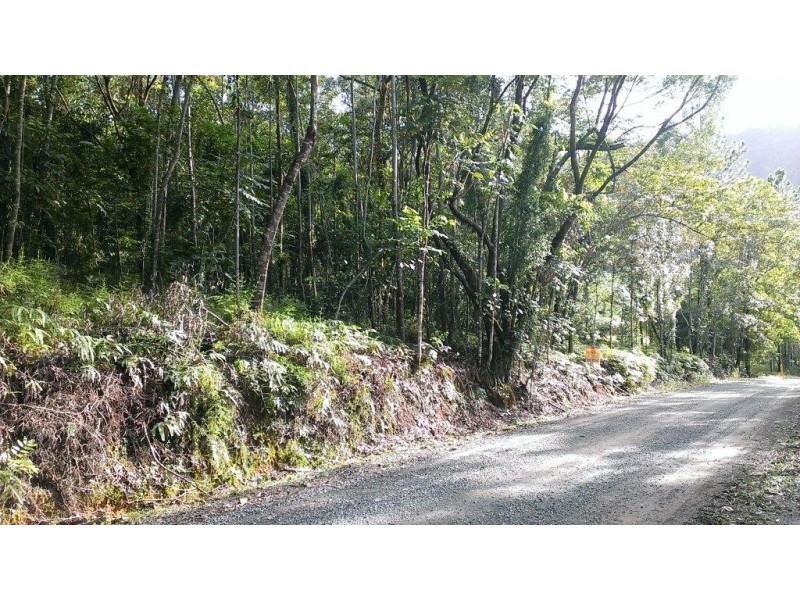 Lot 22 George Road, Daintree QLD 4873