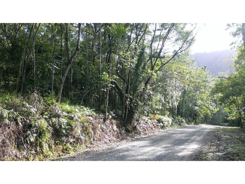 Lot 22 George Road, Daintree QLD 4873