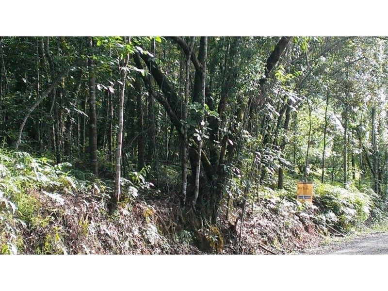 Lot 22 George Road, Daintree QLD 4873