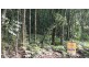 Lot 22 George Road, Daintree QLD 4873