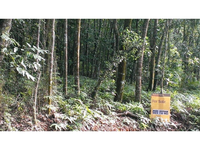 Lot 22 George Road, Daintree QLD 4873