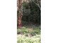 Lot 22 George Road, Daintree QLD 4873