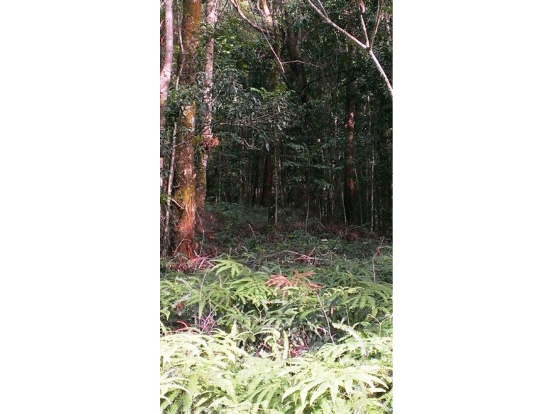 Lot 22 George Road, Daintree QLD 4873