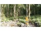 Lot 22 George Road, Daintree QLD 4873