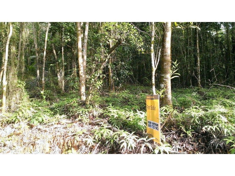 Lot 22 George Road, Daintree QLD 4873