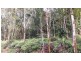 Lot 22 George Road, Daintree QLD 4873