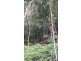 Lot 22 George Road, Daintree QLD 4873