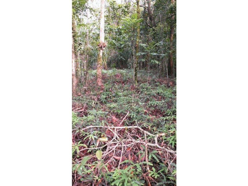 Lot 22 George Road, Daintree QLD 4873