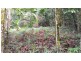 Lot 22 George Road, Daintree QLD 4873