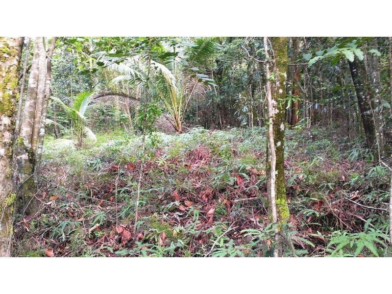 Lot 22 George Road, Daintree QLD 4873