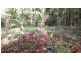 Lot 22 George Road, Daintree QLD 4873