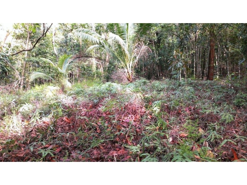 Lot 22 George Road, Daintree QLD 4873
