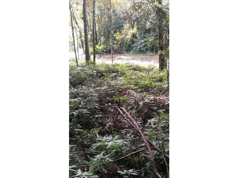 Lot 22 George Road, Daintree QLD 4873