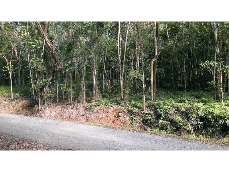 Lot 22 George Road, Daintree QLD 4873