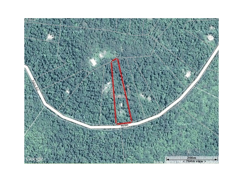 61 Palm Road, Daintree QLD 4873