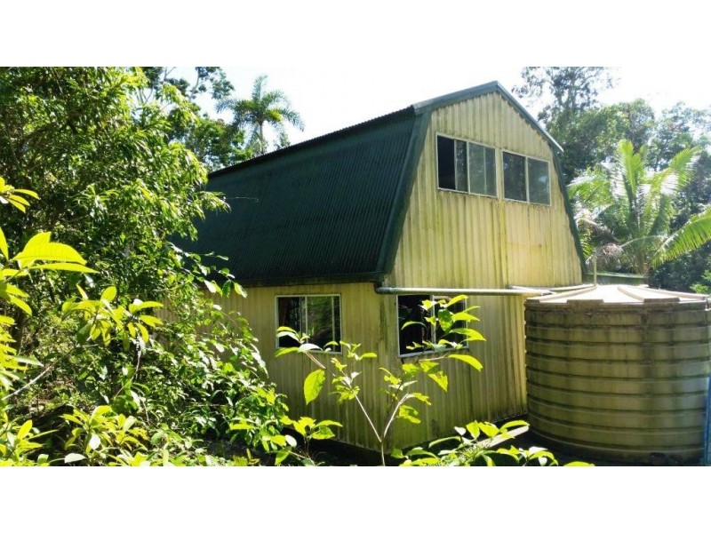 61 Palm Road, Daintree QLD 4873