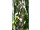 61 Palm Road, Daintree QLD 4873