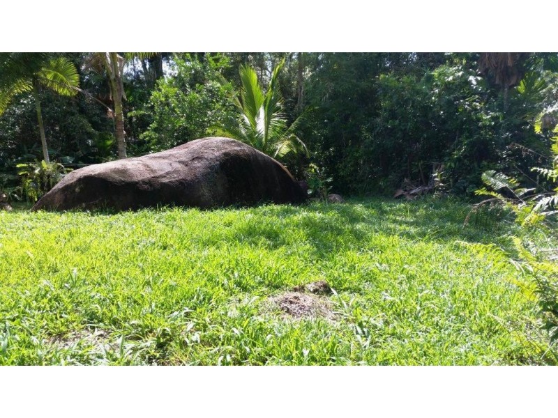 61 Palm Road, Daintree QLD 4873