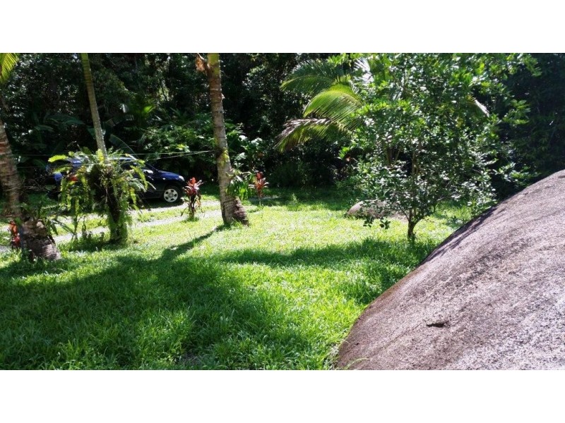 61 Palm Road, Daintree QLD 4873