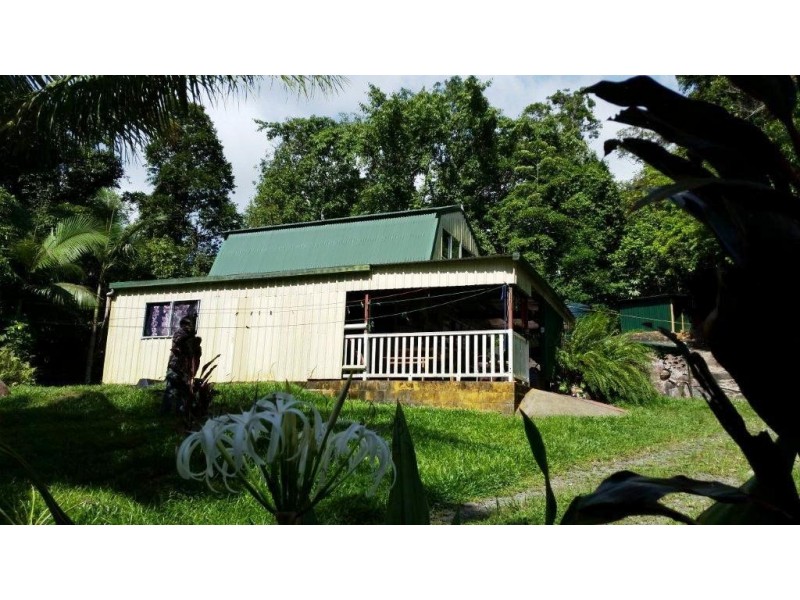 61 Palm Road, Daintree QLD 4873