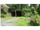 61 Palm Road, Daintree QLD 4873