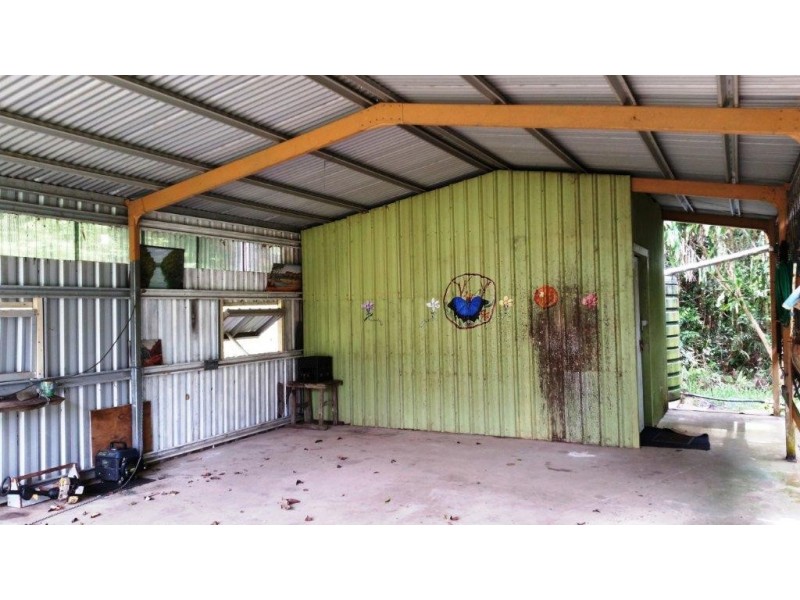 61 Palm Road, Daintree QLD 4873