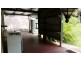 61 Palm Road, Daintree QLD 4873