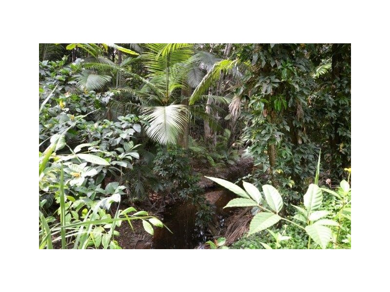 Lot 1 Gorge Road, Mossman QLD 4873