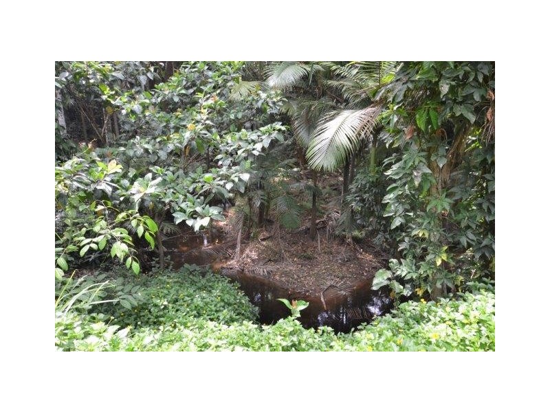 Lot 1 Gorge Road, Mossman QLD 4873