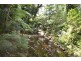 Lot 1 Gorge Road, Mossman QLD 4873
